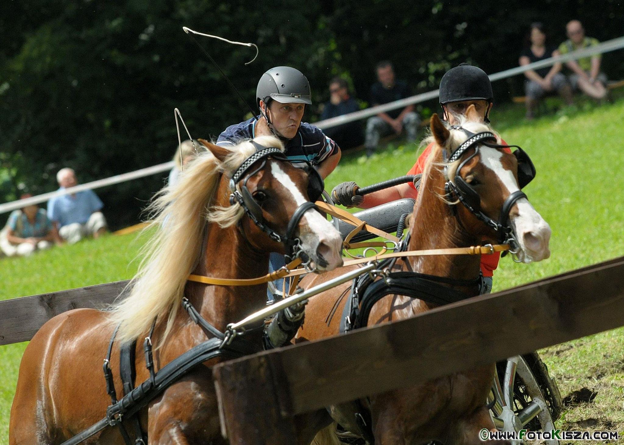 Para koni i para jeźdźców w trakcie zawodów. Jeden z zawodników skupiony na pokonaniu kolejnej
przeszkody.
